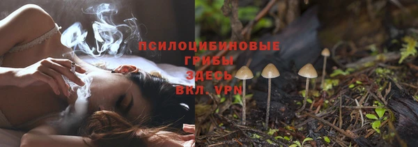 сатива Алзамай