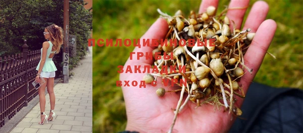 мескалин Аркадак